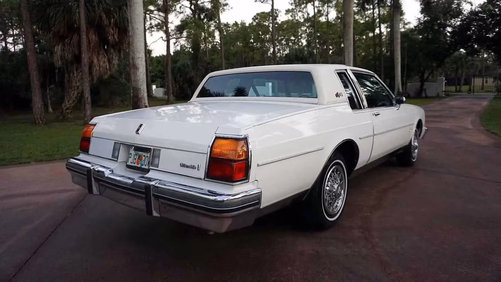 my-1984-oldsmobile-delta-88-why-this-forgotten-giant-still-rules-the-road-image-2