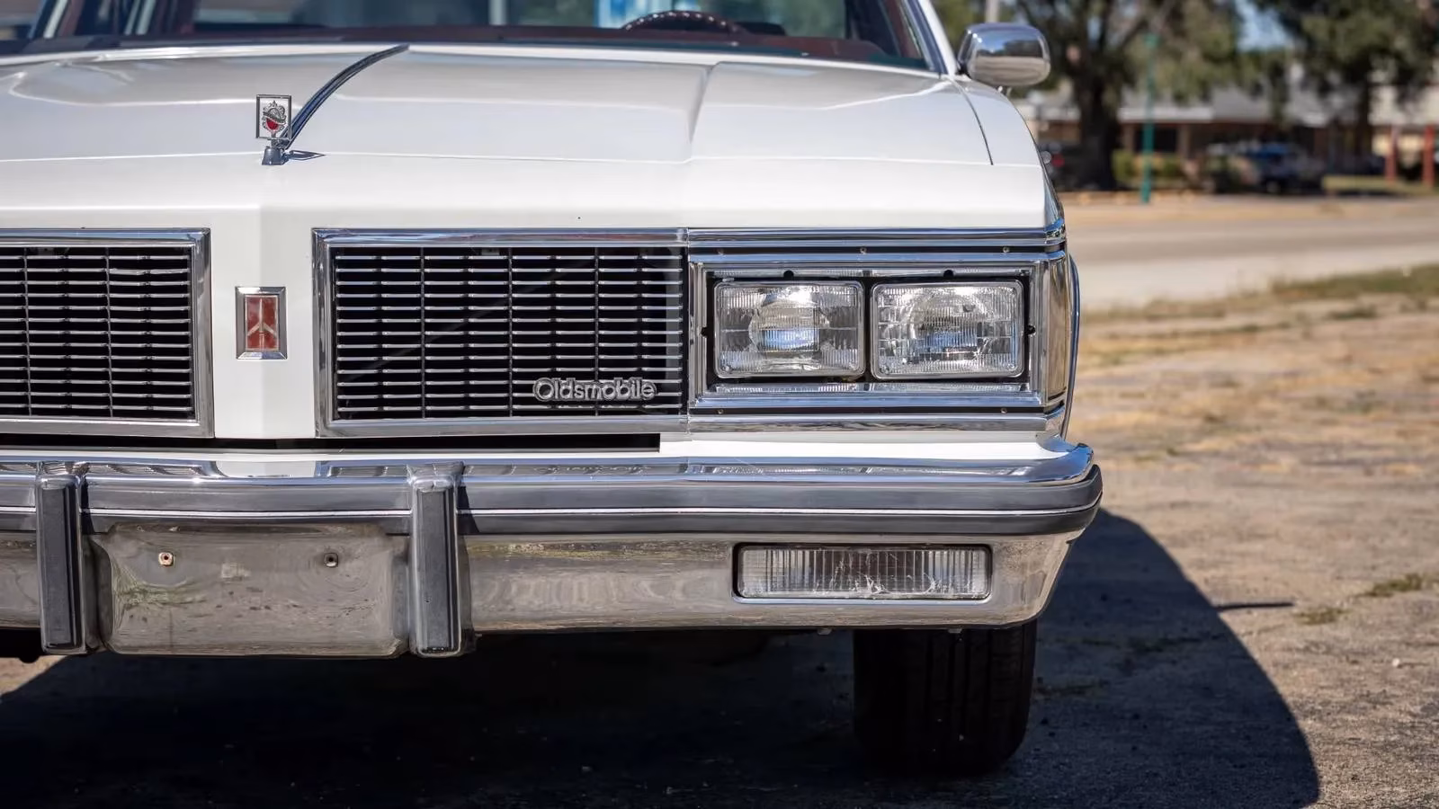 my-1984-oldsmobile-delta-88-why-this-forgotten-giant-still-rules-the-road-image-0